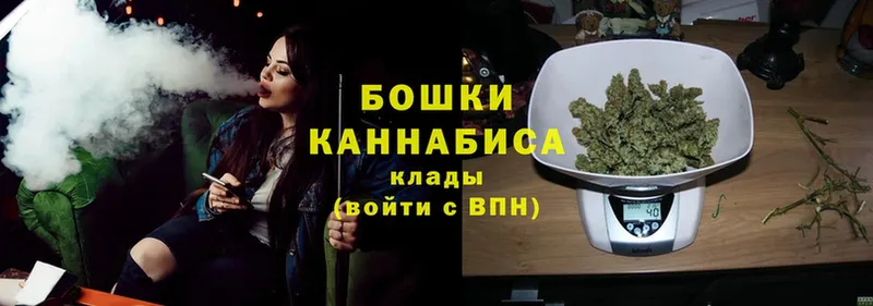 где найти наркотики  Сертолово  Канабис Ganja 